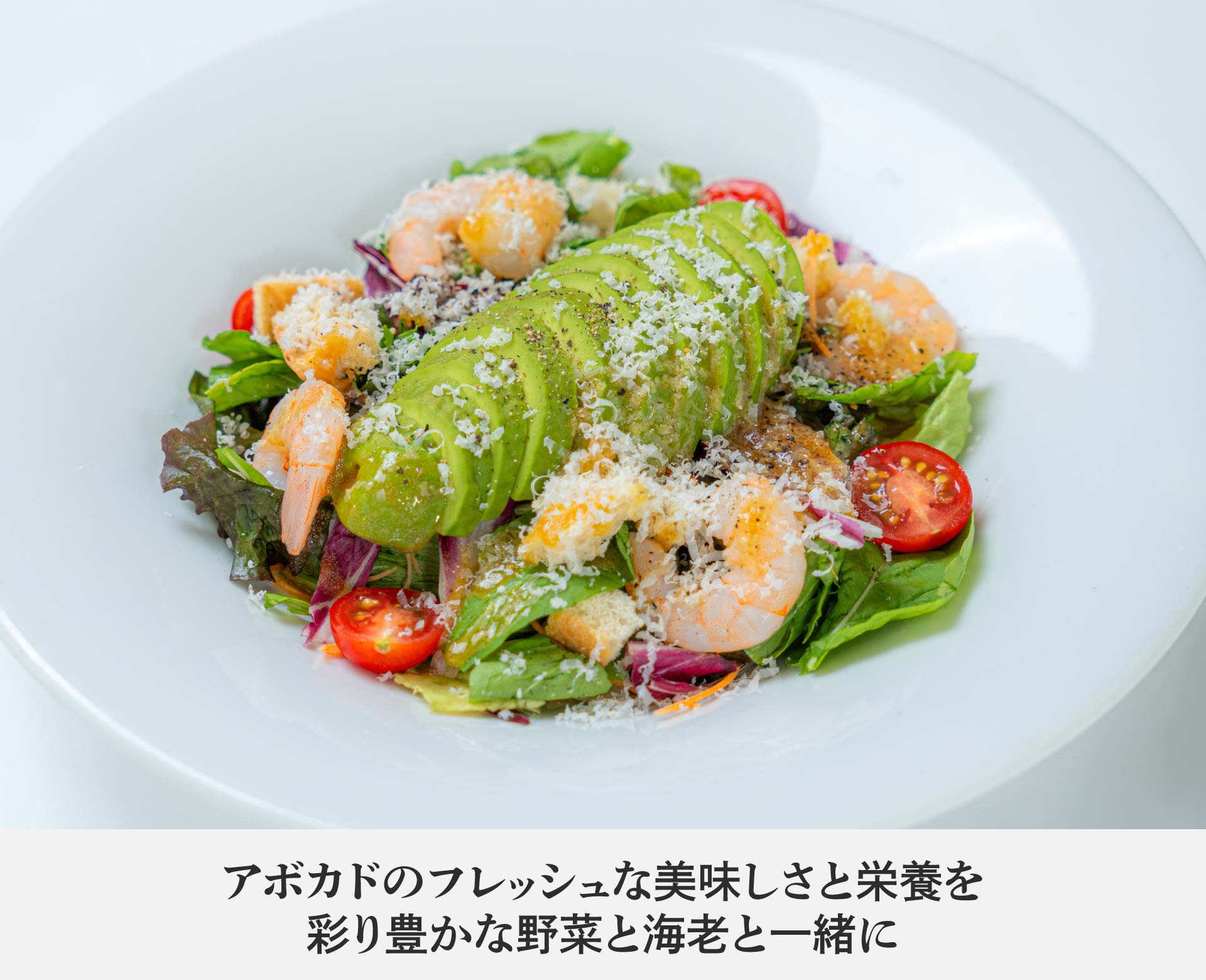 Mia Bocca（ミア ボッカ）