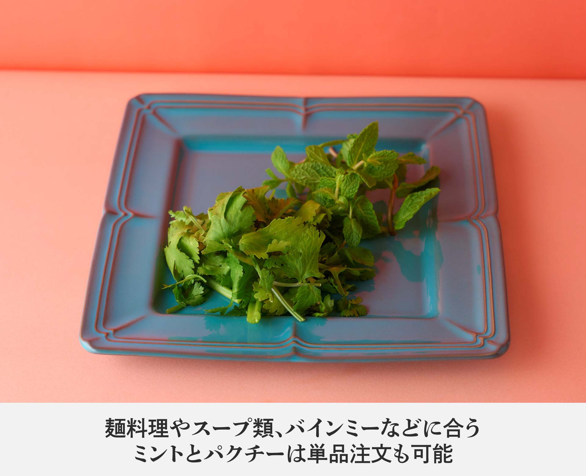 ロータスパレス